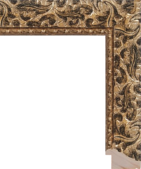 GG5350/OO