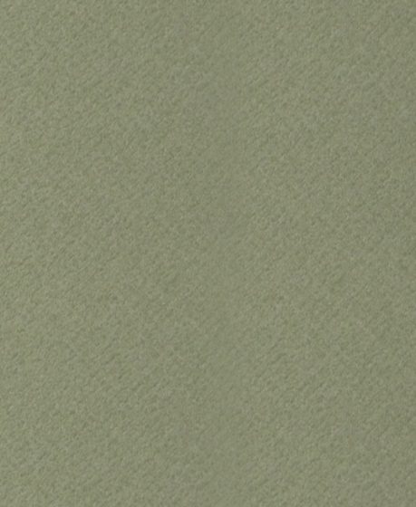Q1029 Картон д/паспарту НЕОПРОФИ, 81x102см, 1.3мм (Лишайник)
