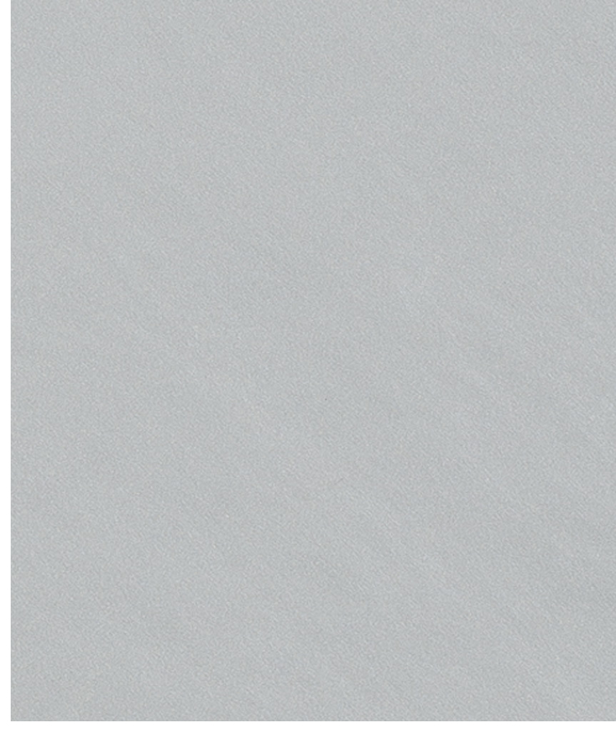W791 Картон д/паспарту НЕОПРОФИ, 81x102см, 1.3мм (Меркурий, аналог R791)