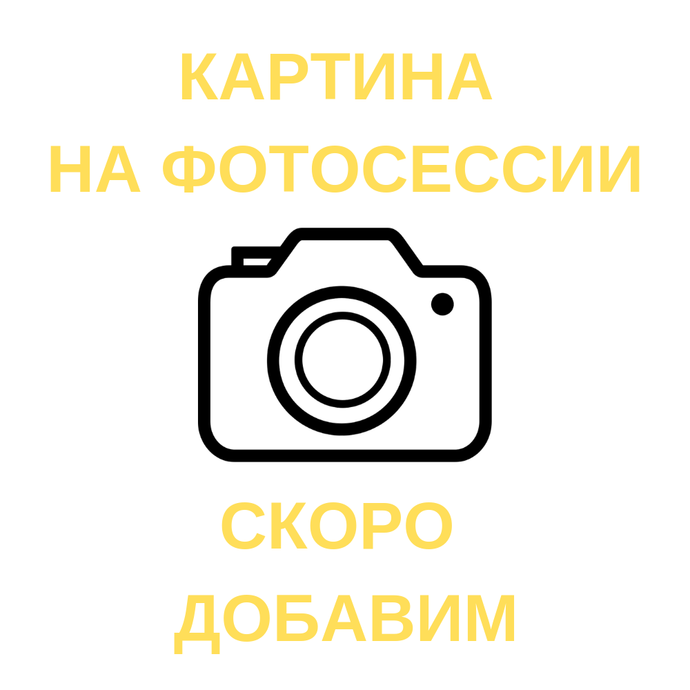 Горизонт. Дворцовый мост.