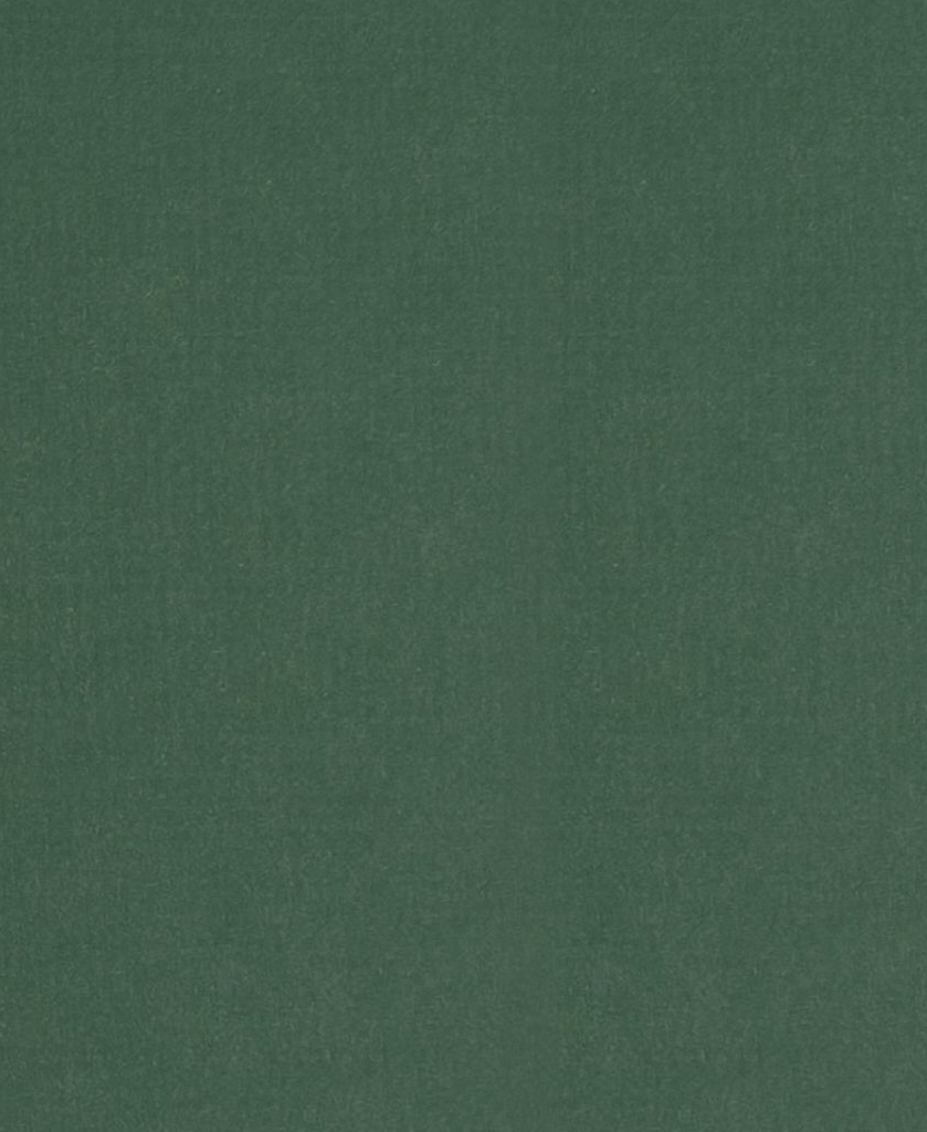 Q1059 Картон д/паспарту НЕОПРОФИ, 81x102см, 1.3мм (Зелёный мох)