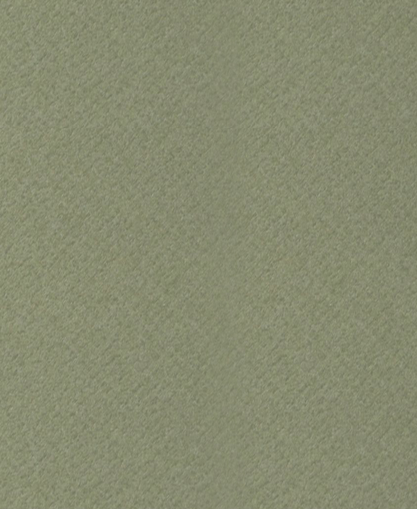 Q1029 Картон д/паспарту НЕОПРОФИ, 81x102см, 1.3мм (Лишайник)