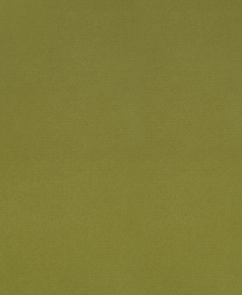 Q1151 Картон д/паспарту НЕОПРОФИ, 81x102см, 1.3мм (Зеленая груша)