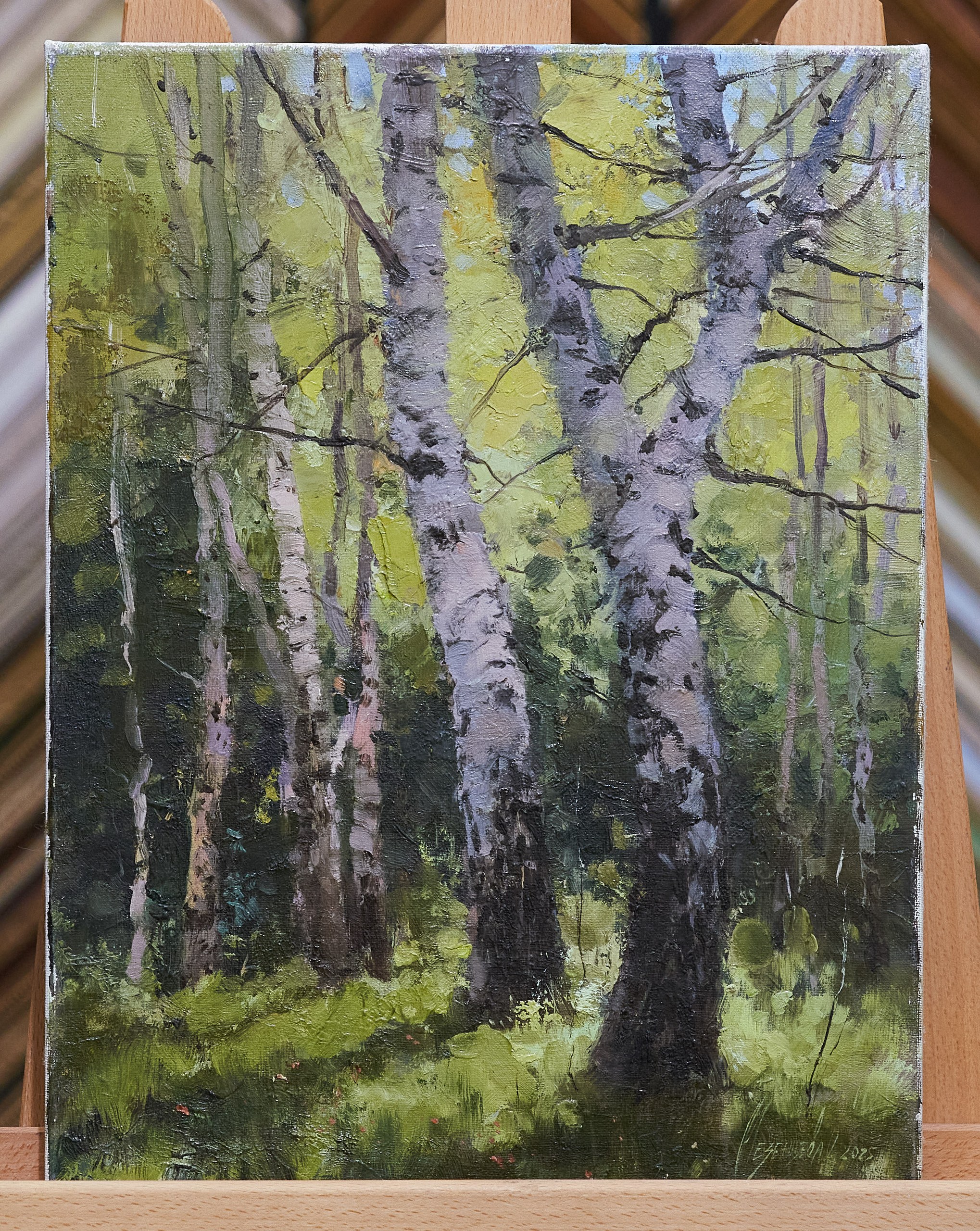 Березки